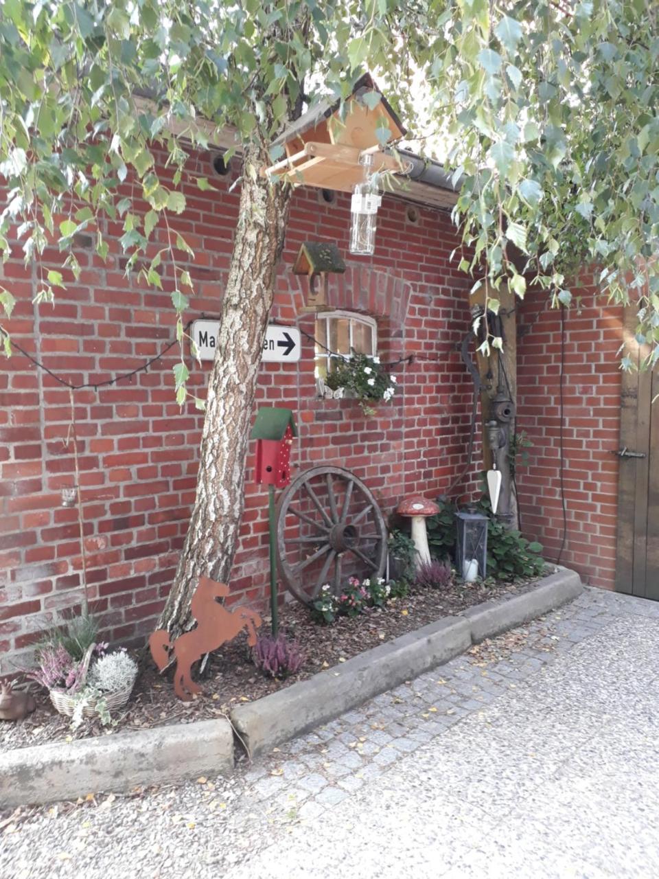 Roehrshof Διαμέρισμα Bispingen Εξωτερικό φωτογραφία